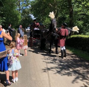 Horse and carriage